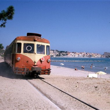 Train Calvi Corsica