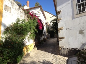 The village of Obidos.